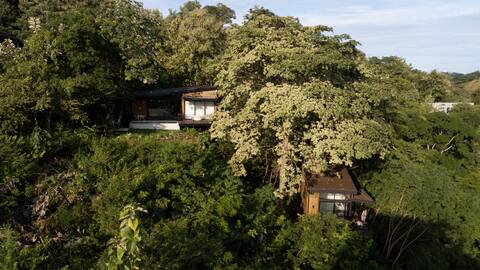 Casa Samambaia + Tiny Home