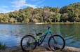 Dtwn Rogers+Fenced+Fire Pit+Entire Home+Bike Stora rental in Rogers