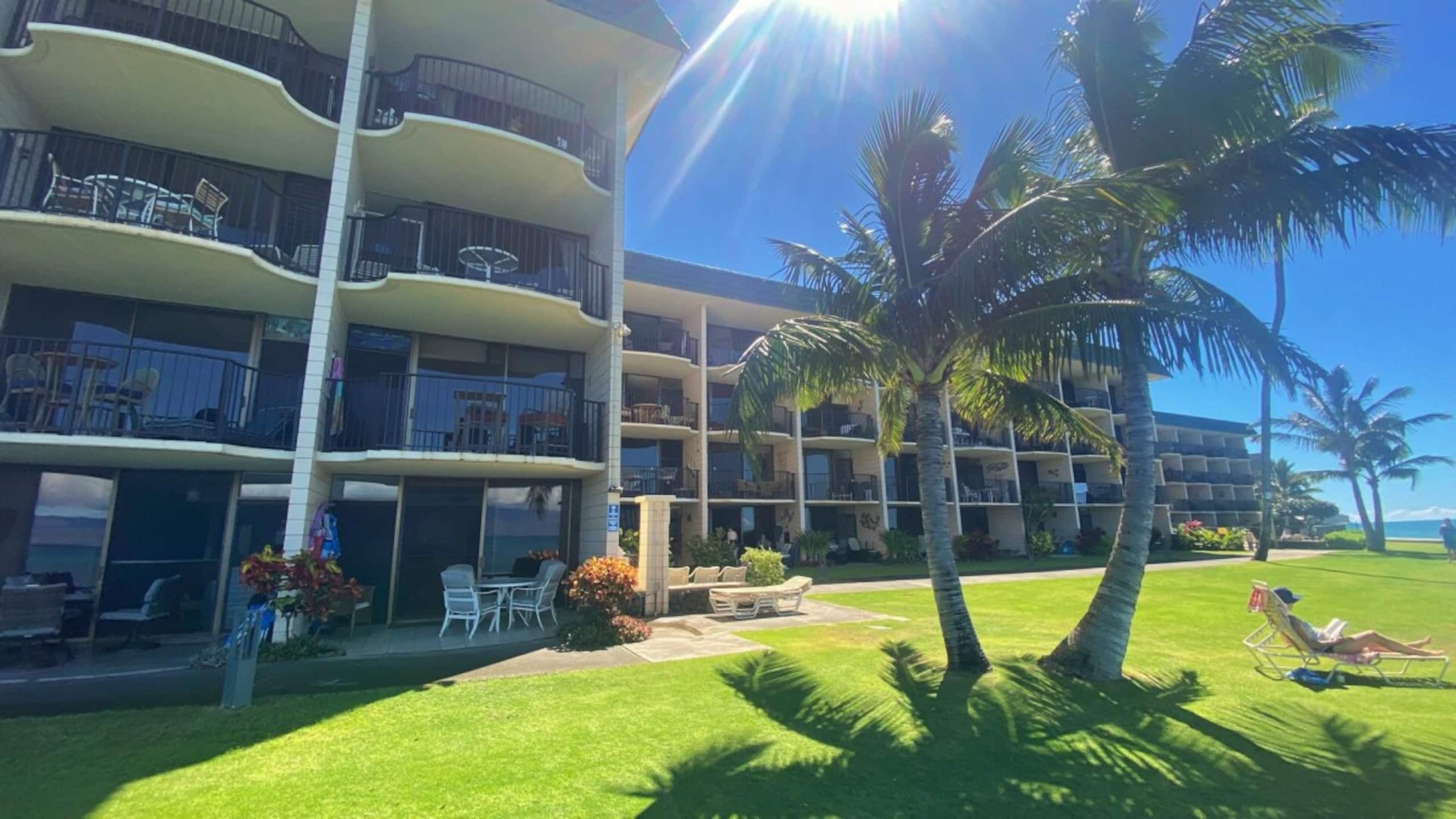 Condo in Lahaina · ★4.67 · 1 bedroom · 2 beds · 1 bath - Image 2