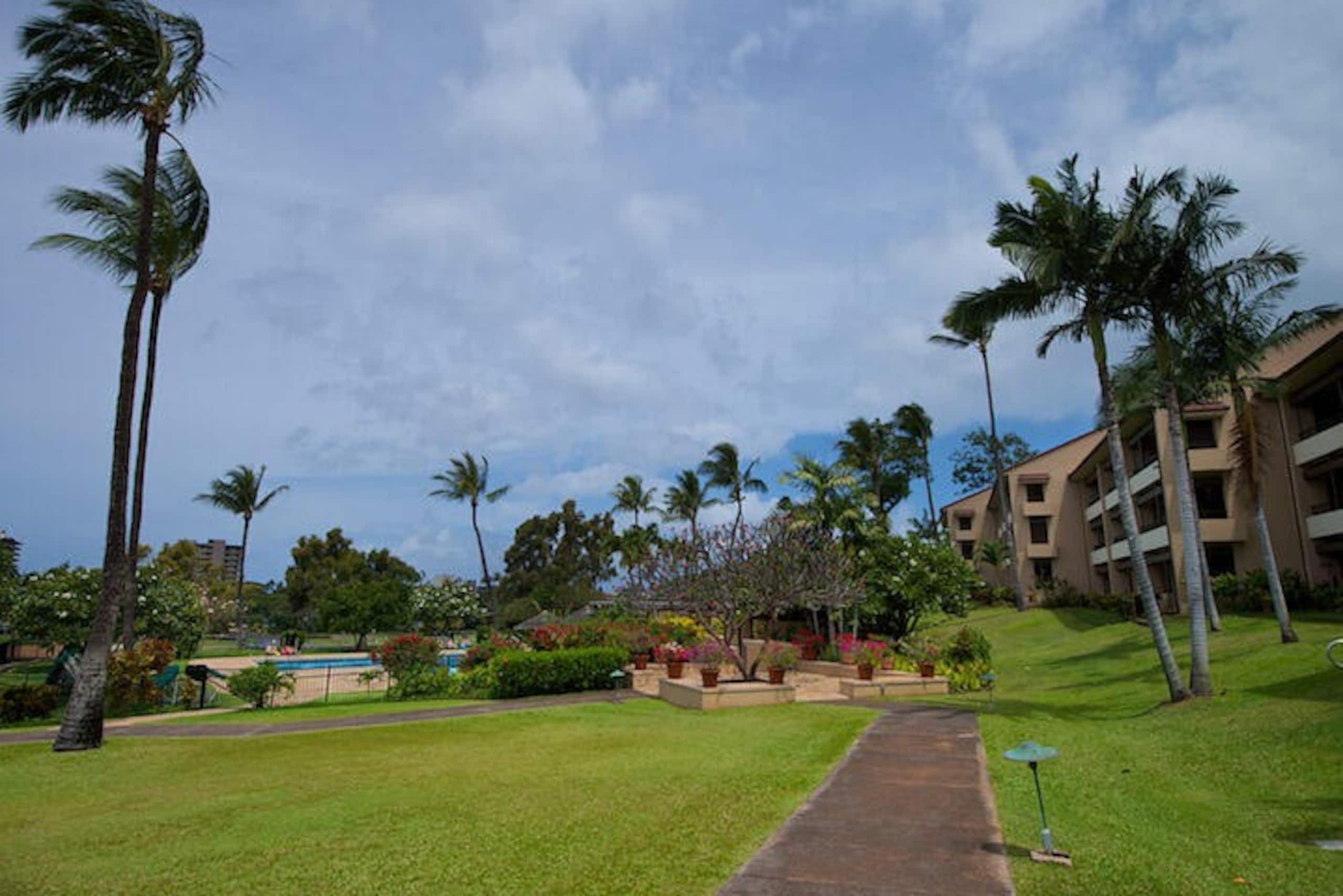 Condo in Lahaina · ★5.0 · 2 bedrooms · 4 beds · 2 baths - Image 7