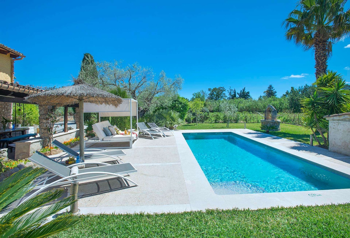 A private swimming pool features clear water surrounded by a well-kept lawn. Sun loungers are arranged nearby, offering spaces for relaxation. A shaded cabana provides additional seating, while lush greenery and palm trees frame the area, enhancing the tranquil outdoor ambiance.