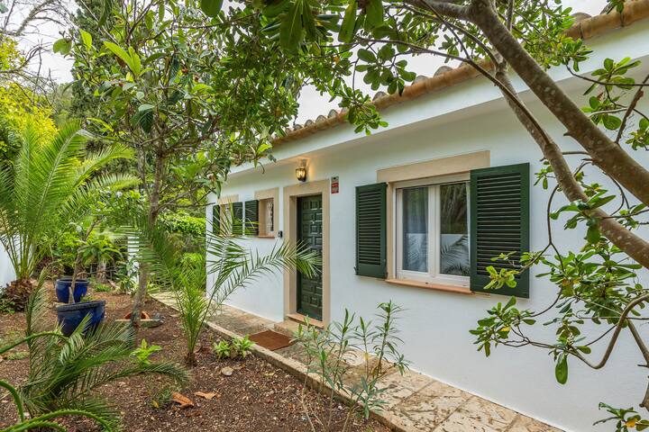 Villa Polina gallery image 4