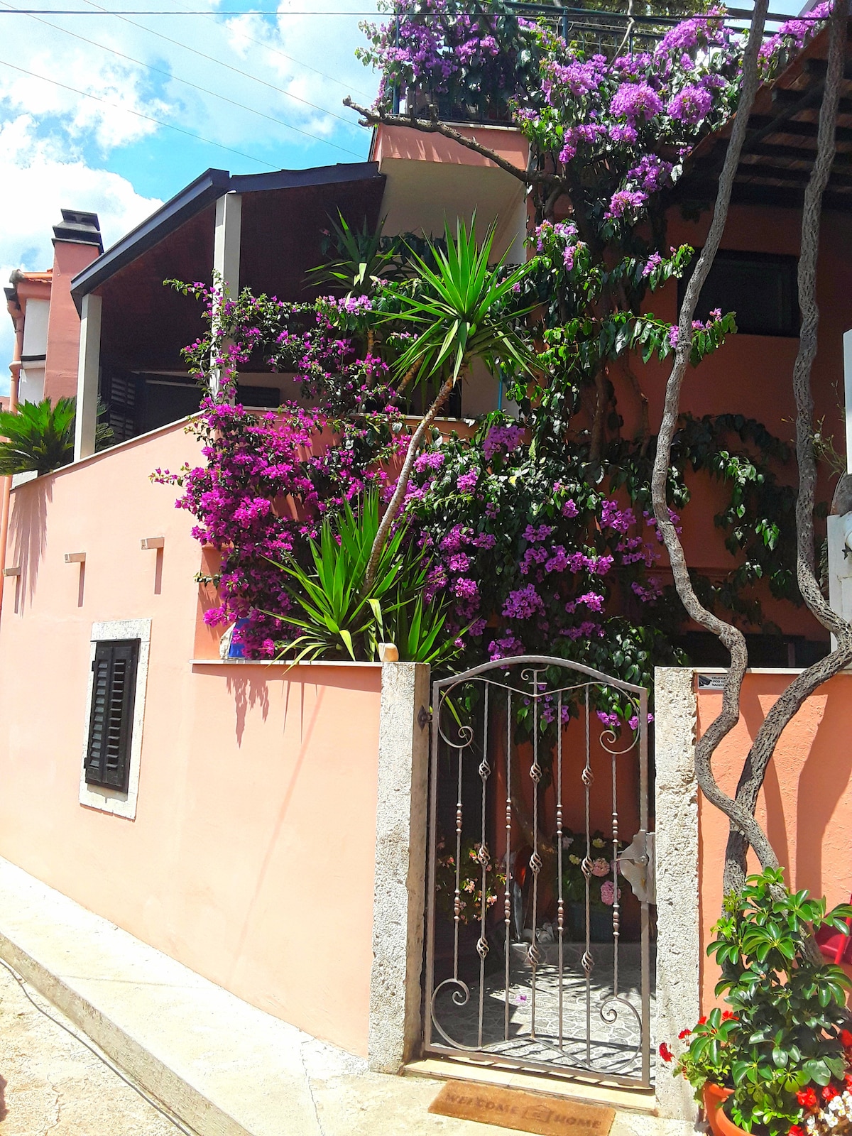 A charming exterior is showcased, featuring a pink stucco wall adorned with vibrant purple flowers. A wrought iron gate opens to a pathway, inviting guests towards the property, which is complemented by lush greenery and a covered terrace above.