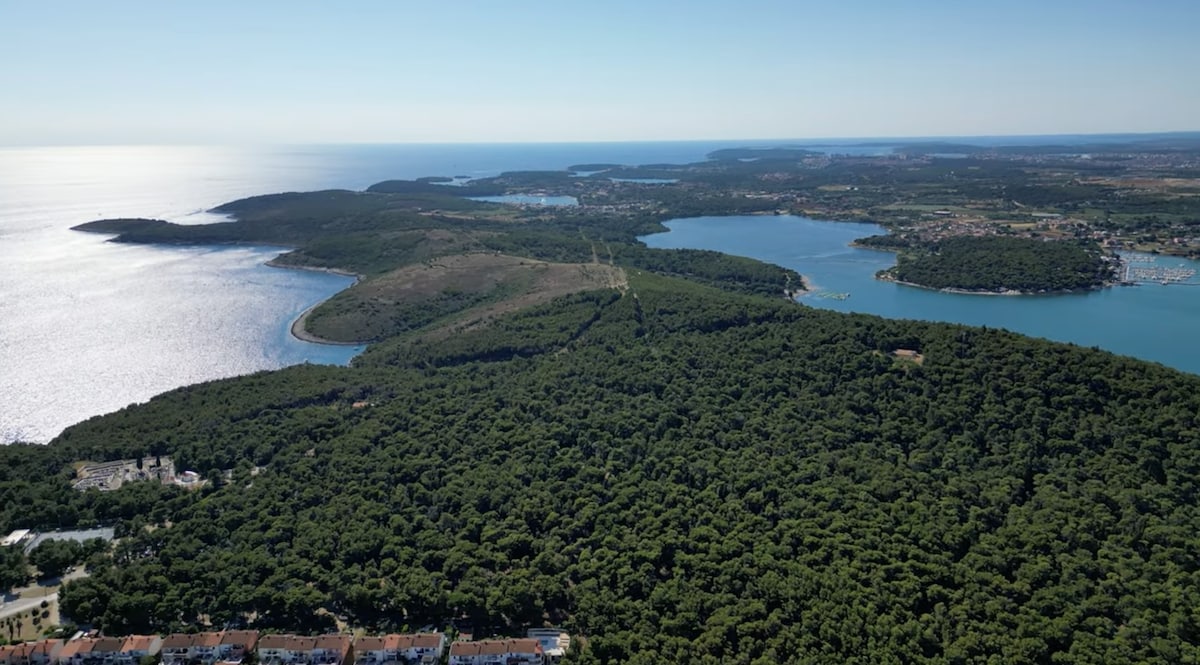 An expansive aerial view captures the lush greenery of Kamenjak National Park, surrounded by clear blue waters. The coastline features gentle curves, leading to scenic inlets. Sunlight reflects off the sea, highlighting the tranquil atmosphere of this natural landscape.