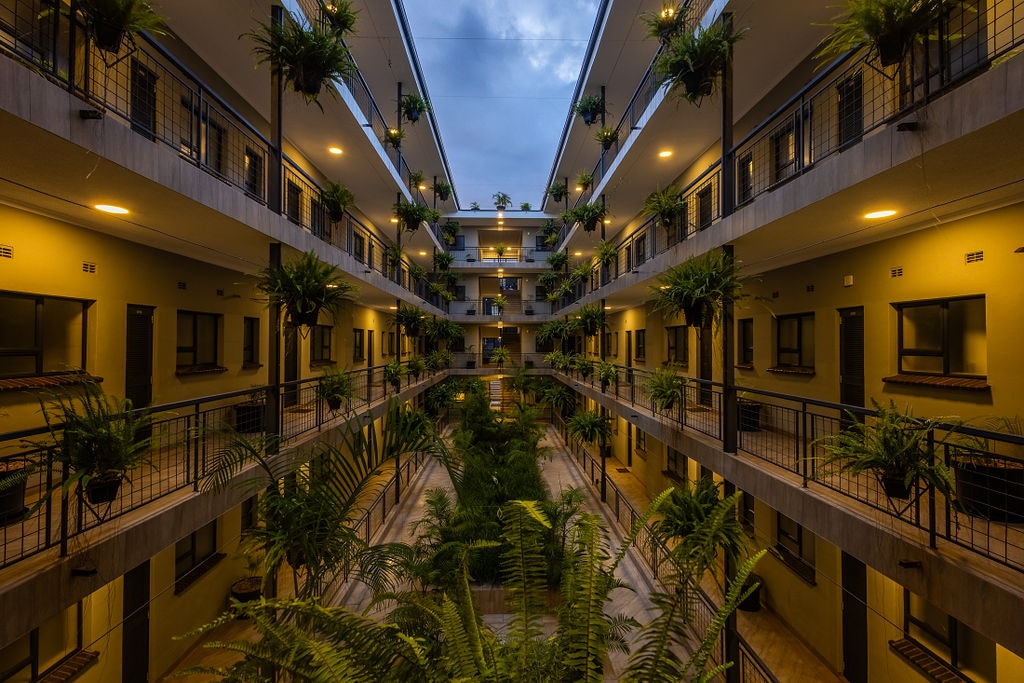 A central courtyard is framed by two levels of contemporary apartments. Lush greenery, including tall ferns and potted palms, enhances the tranquil atmosphere. Soft evening light casts a calming glow across the walkway, providing a serene view of the building's striking architectural lines.