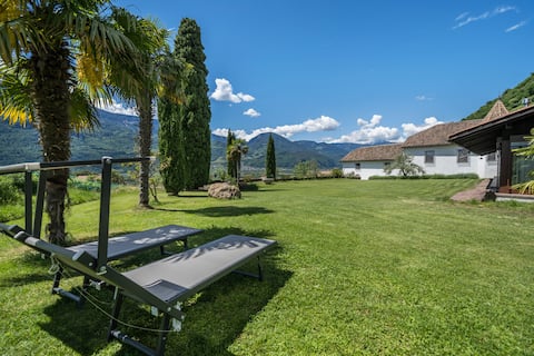 Thanhammer Apt Quarz