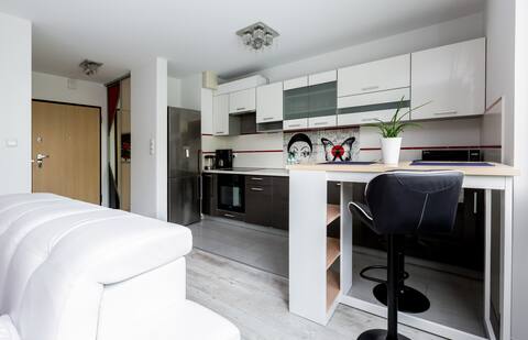 Successful Airbnb property: Malczewski Chic Studio in Siedlce