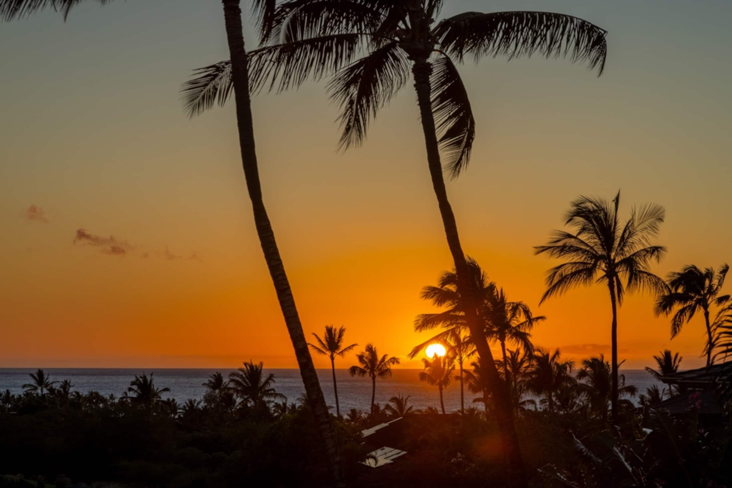 Villa in Kailua-Kona · ★5.0 · 3 bedrooms · 3 beds · 3 baths - Image 23