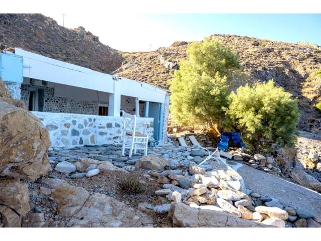 Seagull Syros Seaside gallery image 3