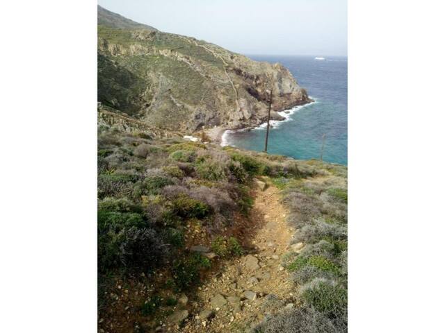 Seagull Syros Seaside gallery image 4