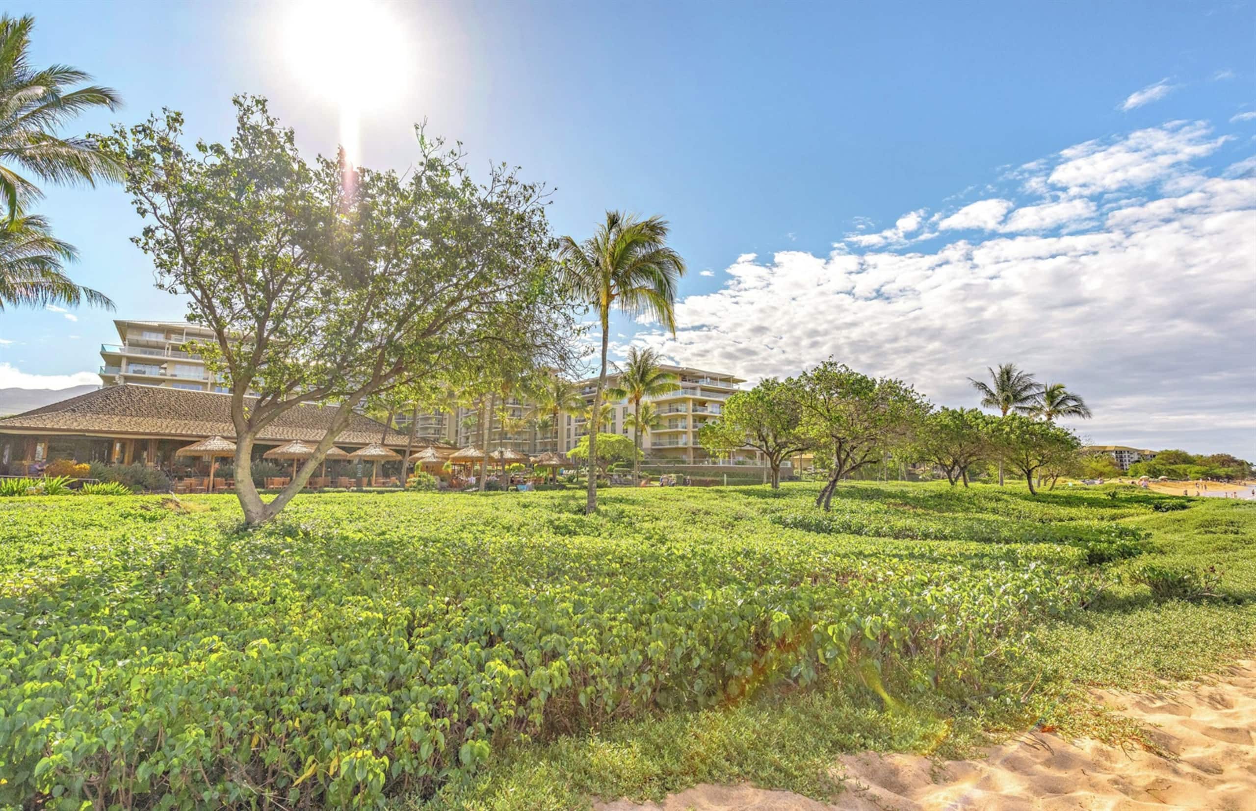 Condo in Lahaina · ★5.0 · 2 bedrooms · 3 beds · 2 baths - Image 71
