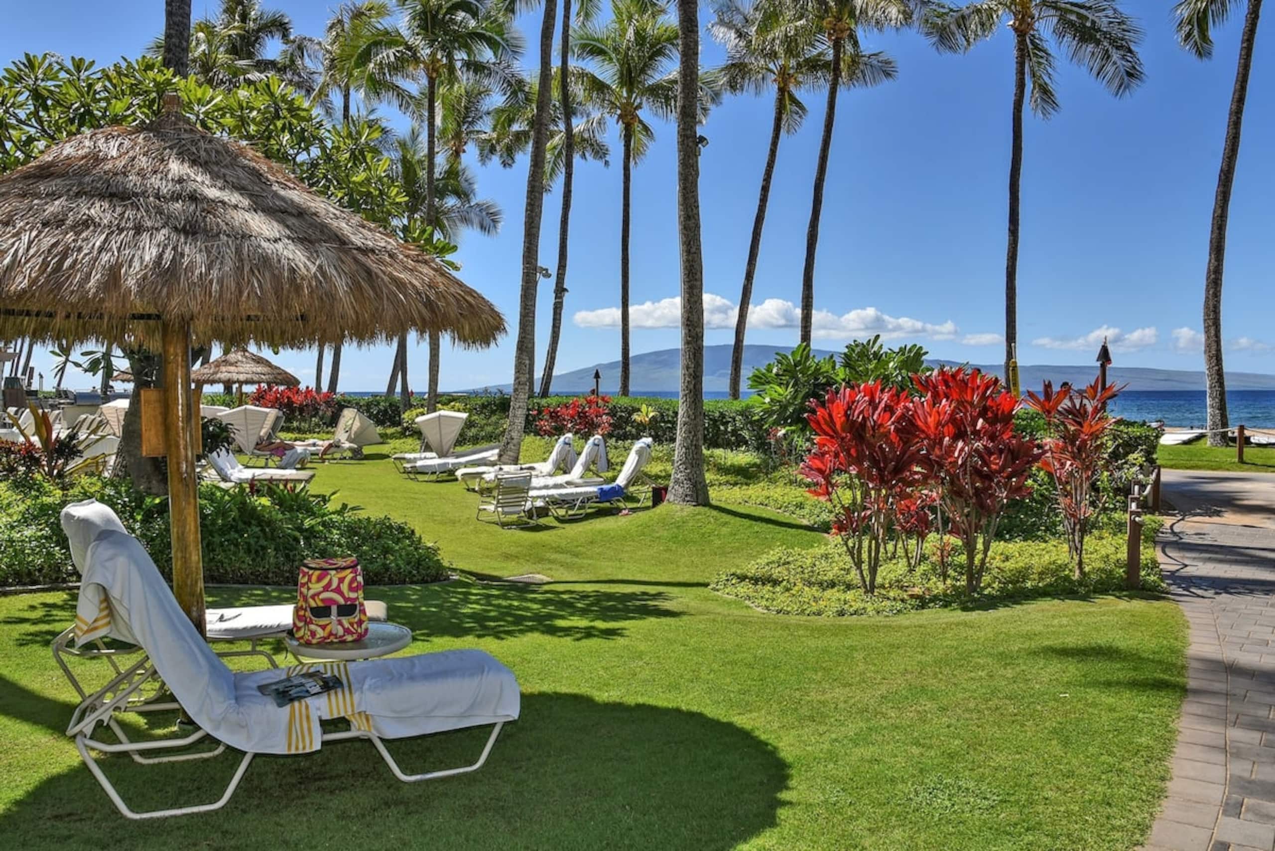 Condo in Lahaina · ★4.68 · 2 bedrooms · 2 beds · 2 baths - Image 24
