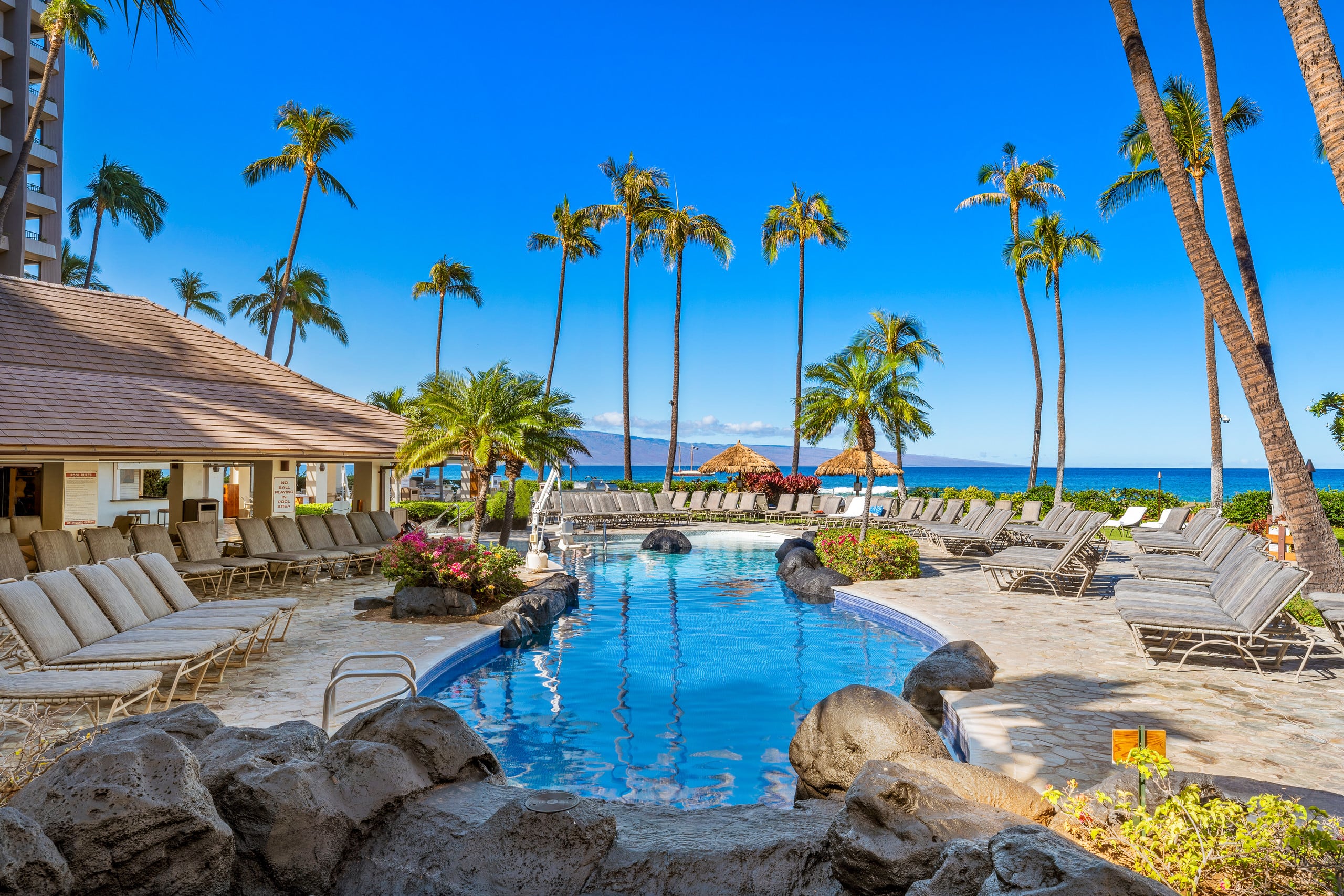 Condo in Lahaina · ★4.68 · 2 bedrooms · 2 beds · 2 baths - Image 42