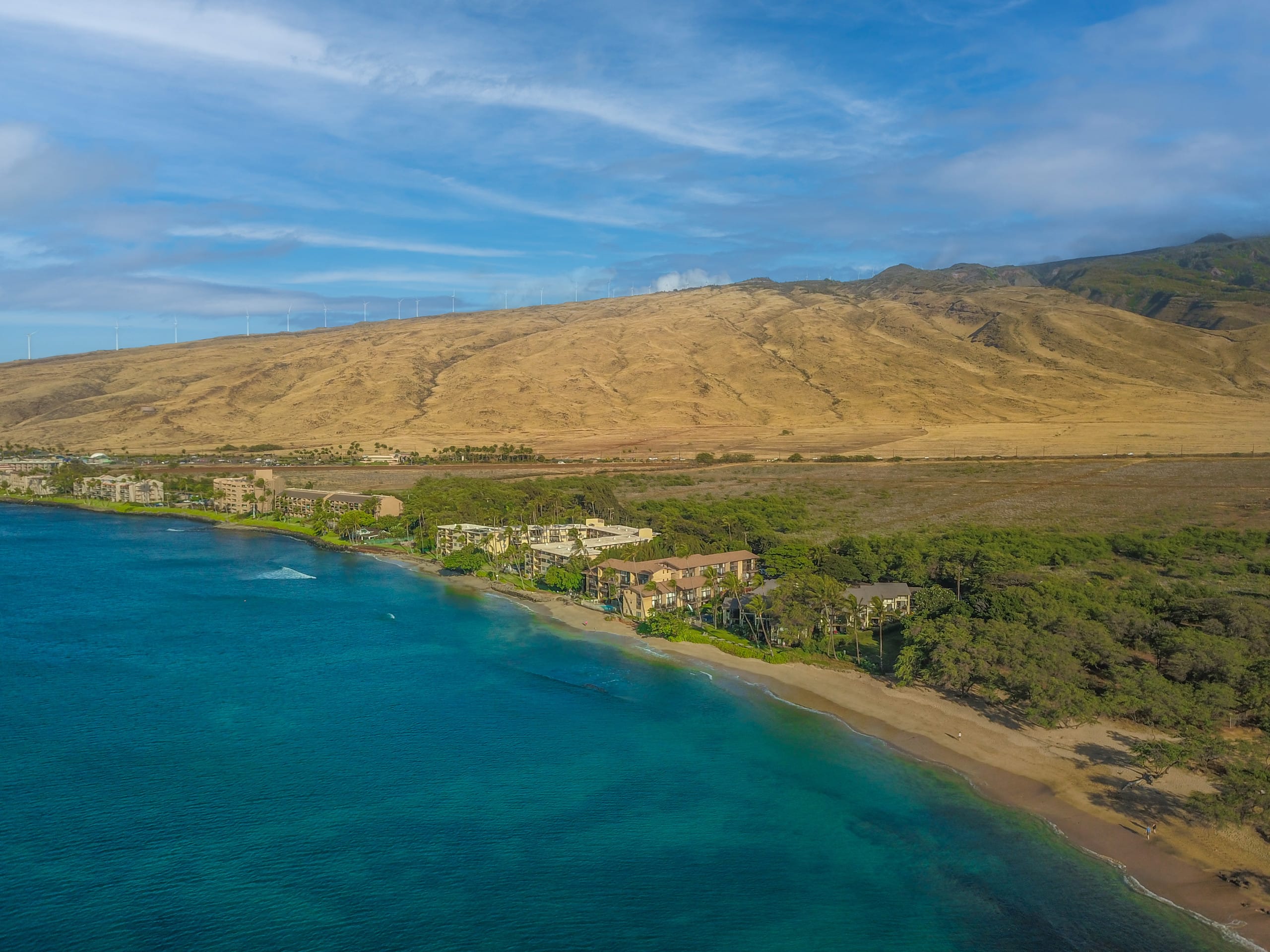 Condo in Wailuku · ★4.95 · 1 bedroom · 2 beds · 1 shared bath - Image 41