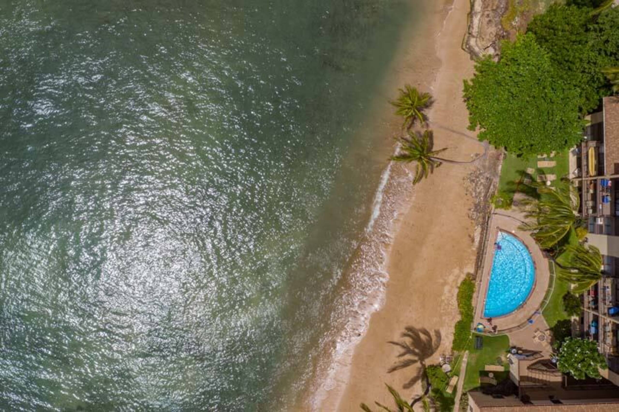 Condo in Wailuku · ★4.95 · 1 bedroom · 2 beds · 1 shared bath - Image 31