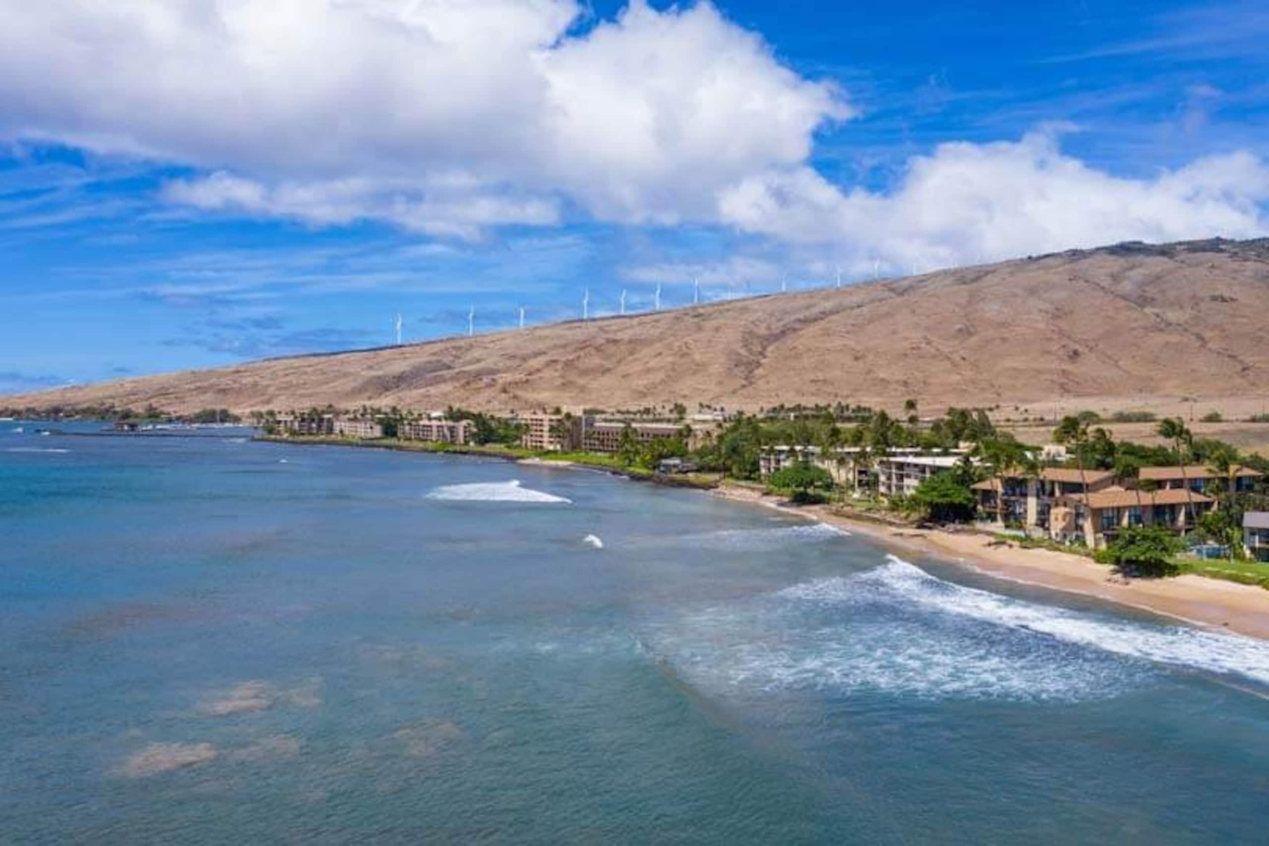 Condo in Wailuku · ★4.95 · 1 bedroom · 2 beds · 1 shared bath - Image 33