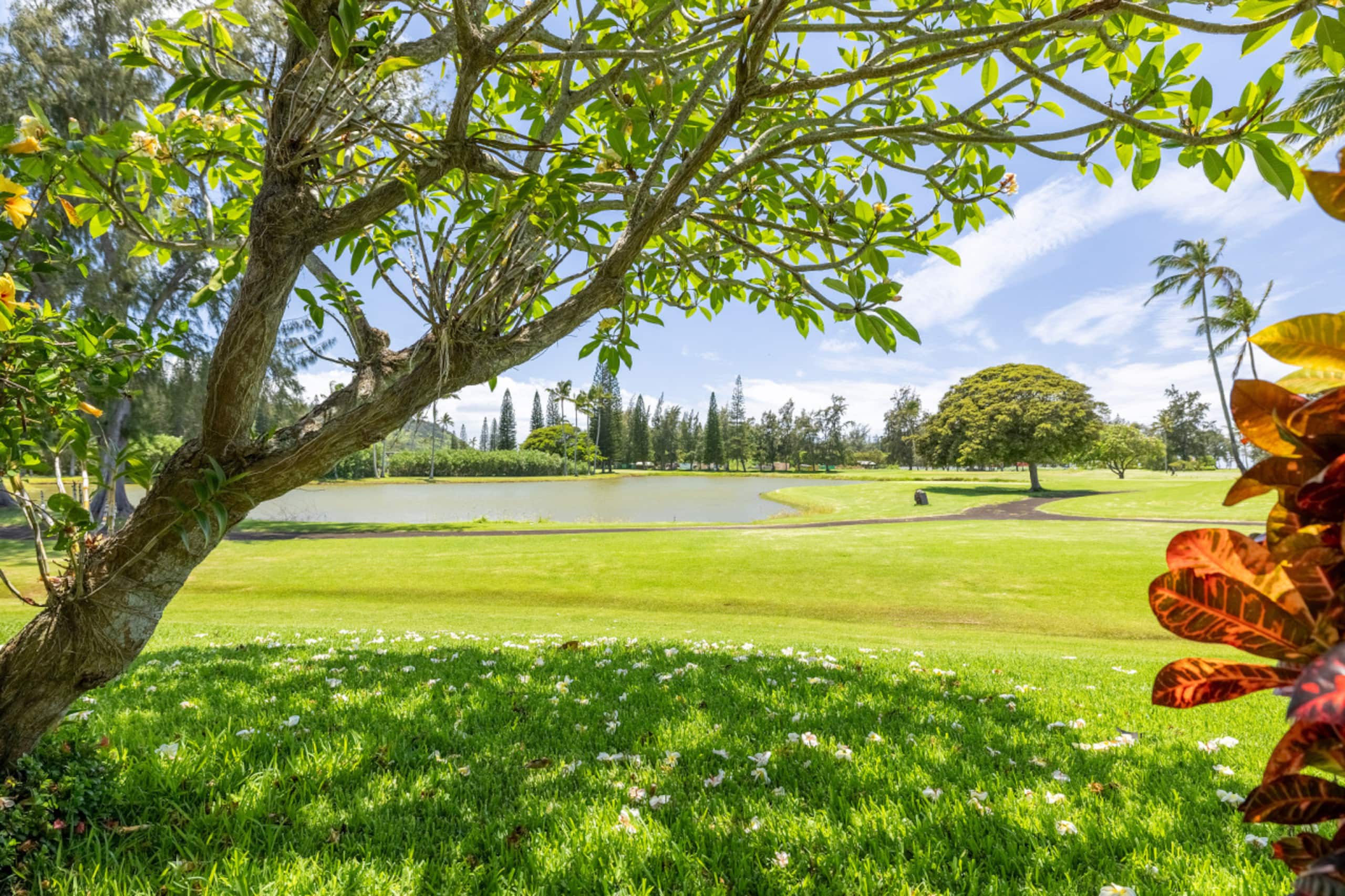 Home in Kahuku · ★4.94 · 3 bedrooms · 4 beds · 2 private baths - Image 70