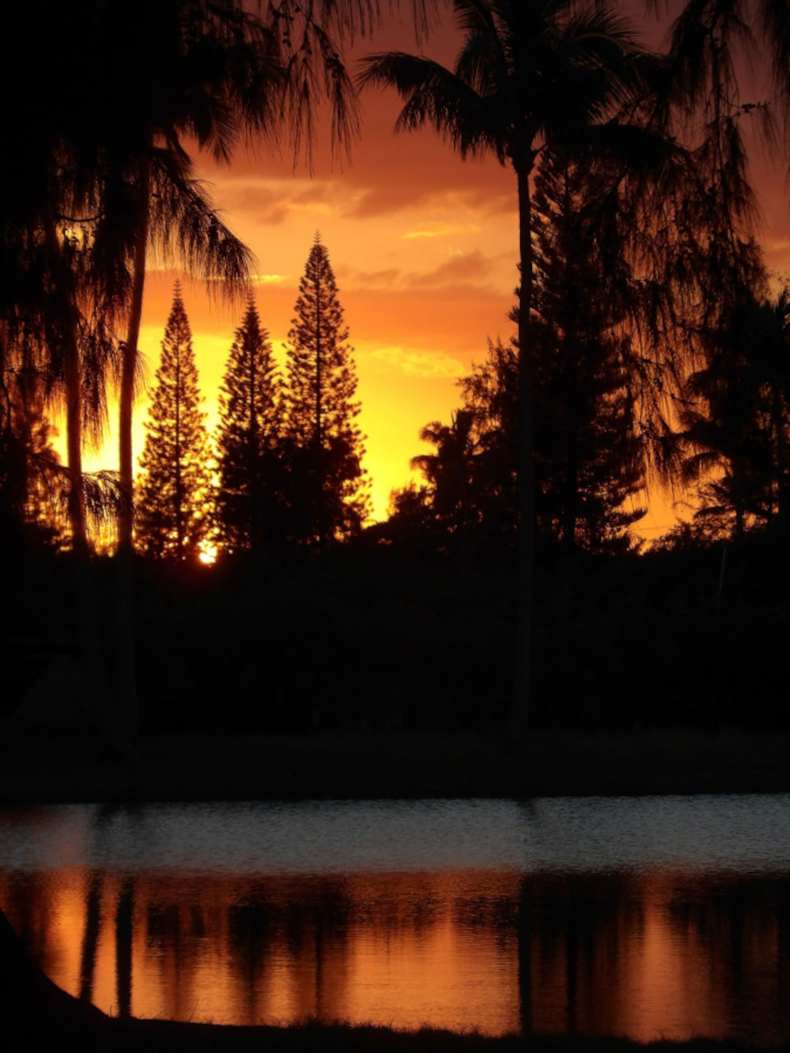 Home in Kahuku · ★4.94 · 3 bedrooms · 4 beds · 2 private baths - Image 27