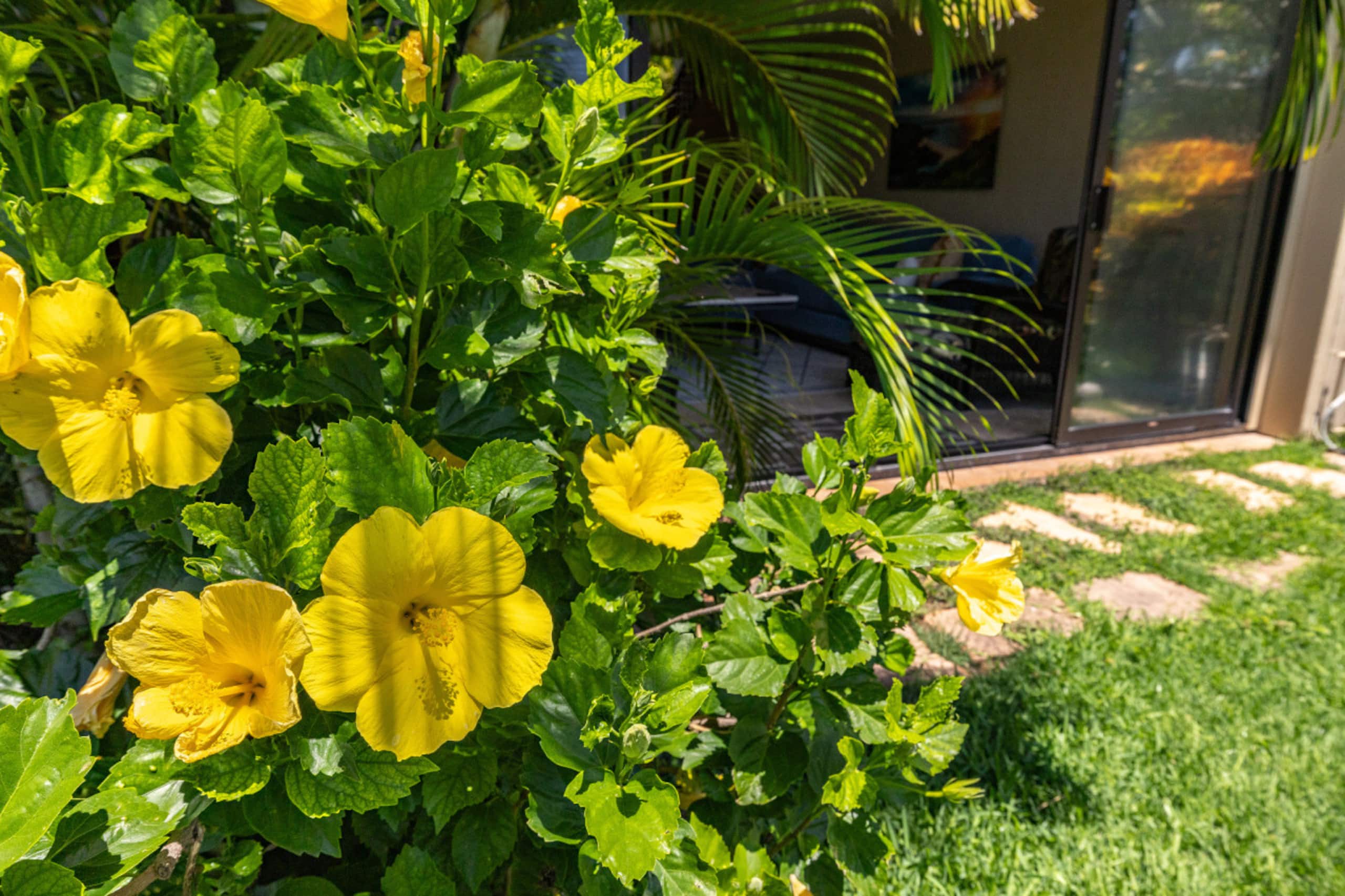 Home in Kahuku · ★4.94 · 3 bedrooms · 4 beds · 2 private baths - Image 64