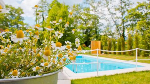Aristotelia Gi Ikies - Cozy Poolside Suite