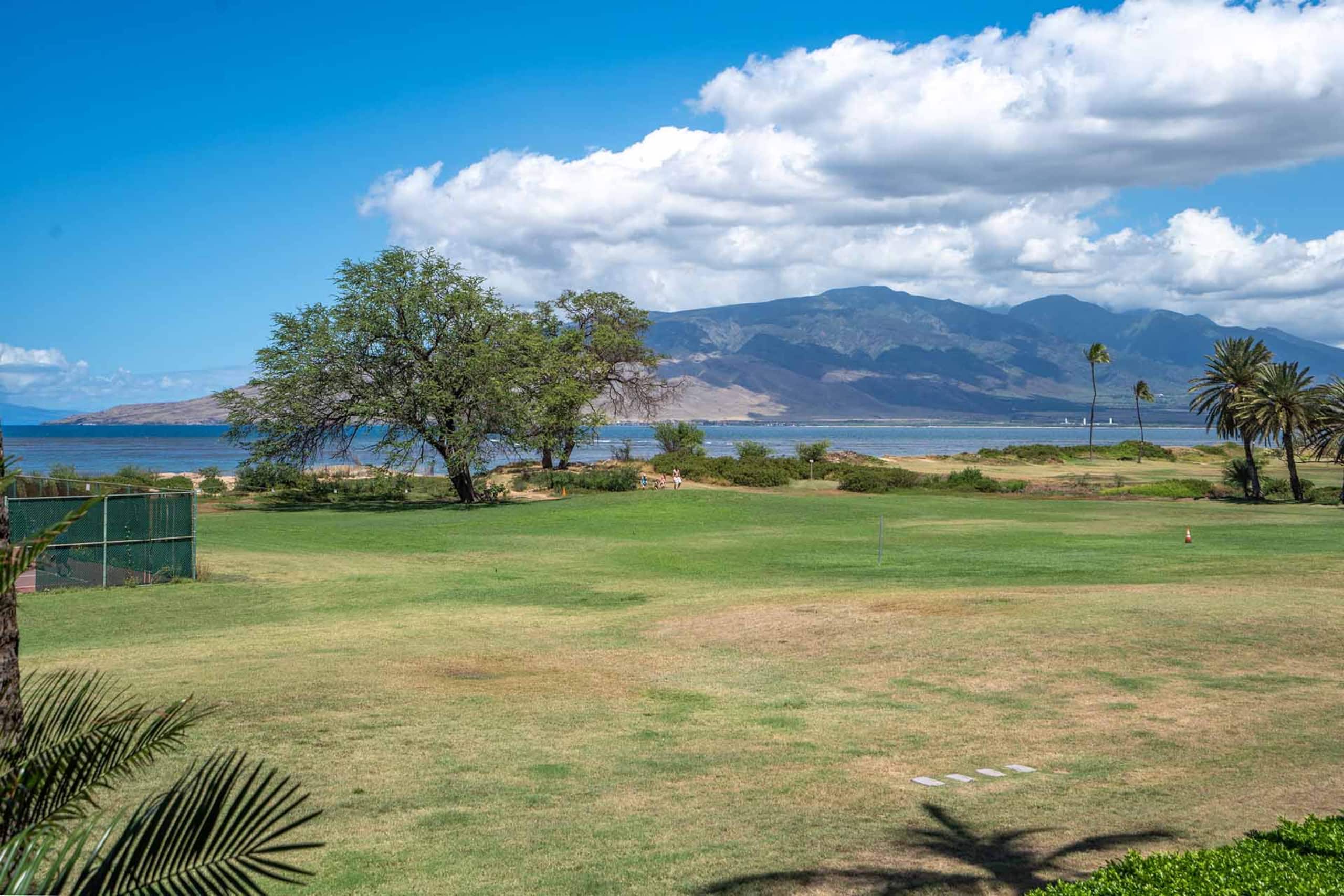 Home in Kihei · ★4.8 · 1 bedroom · 2 beds · 1 private bath - Image 2