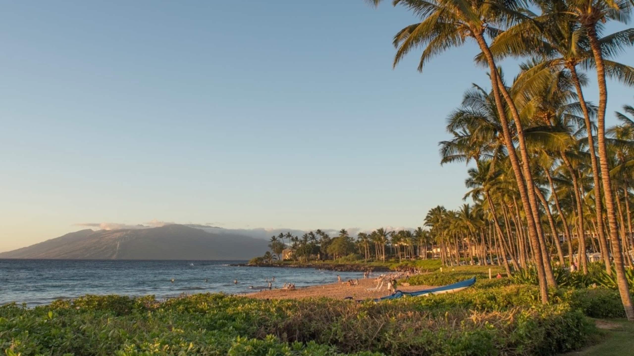 Home in Kihei · ★4.8 · 1 bedroom · 2 beds · 1 private bath - Image 54