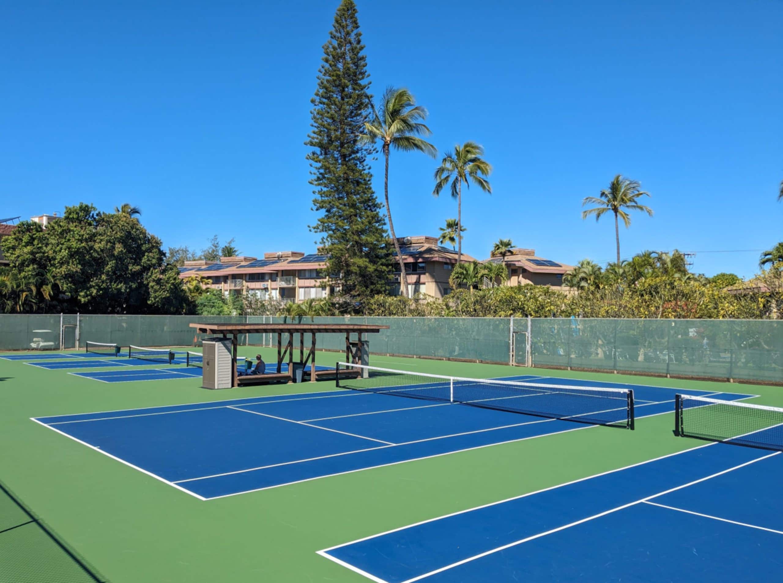 Condo in Kihei · ★4.96 · 2 bedrooms · 4 beds · 2 private baths - Image 29