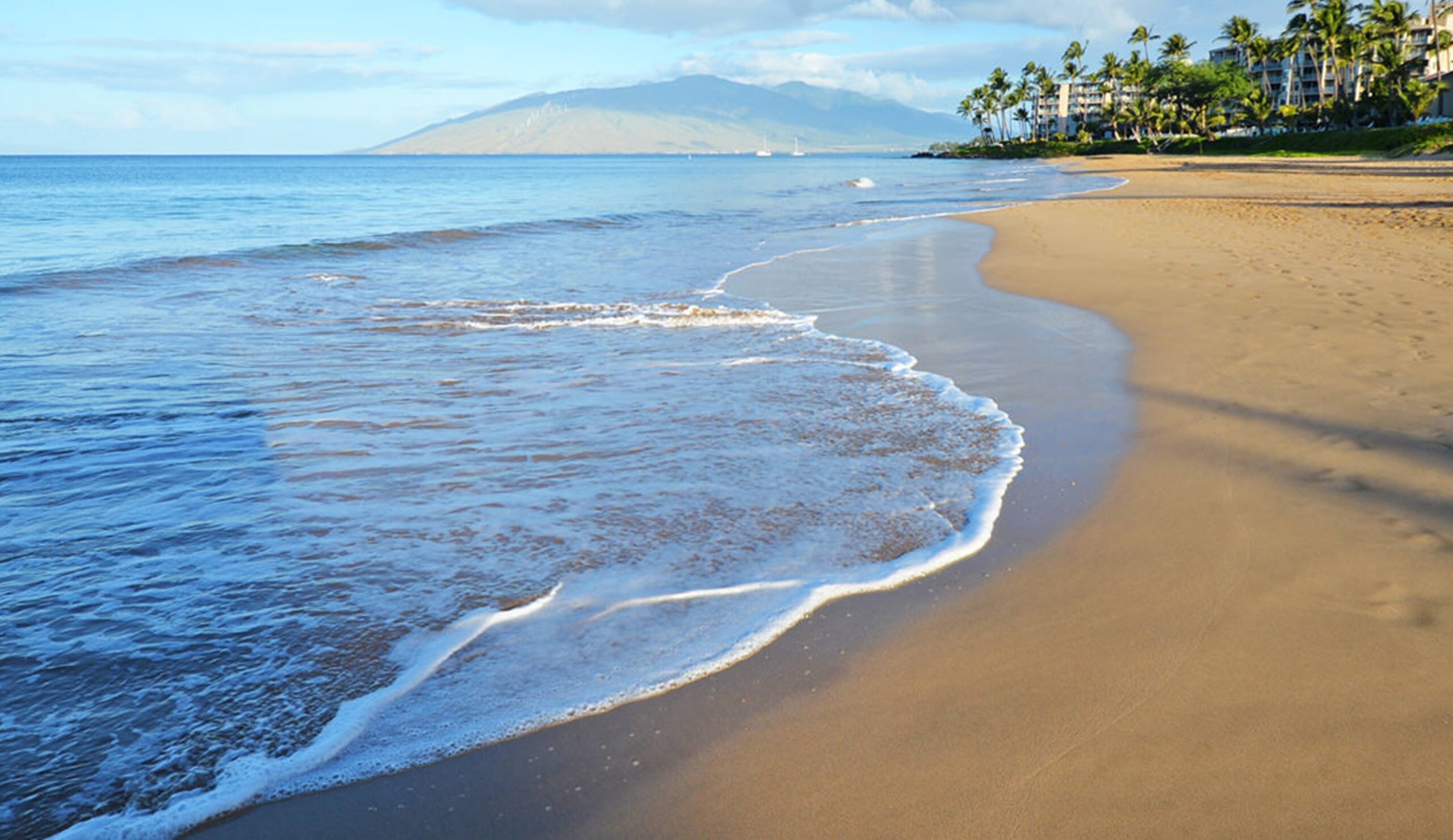 Condo in Kihei · ★4.96 · 2 bedrooms · 4 beds · 2 private baths - Image 31