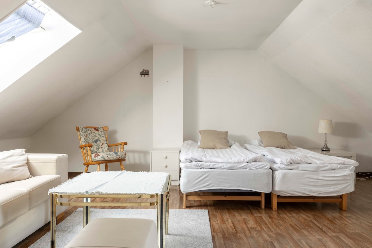 Përmbledhje e hapësirës së madhe të ndenjjes dhe dhomës së gjumit, me një krevat 160 cm.