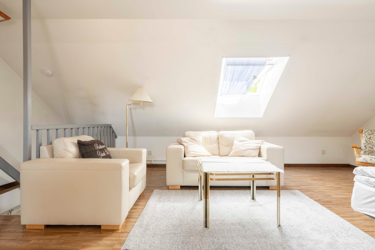 Pamje më e afërt e zonës së rehatshme të ndenjjes, e mbushur me dritë natyrale nga dritarja e tavanit.