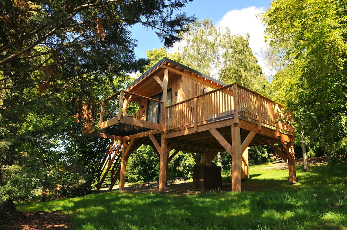 A wooden lodge is elevated on stilts, surrounded by lush greenery and tall trees. The structure features a spacious balcony with railing and entry stairs. Natural light filters through large windows, enhancing the connection to the serene outdoor environment.