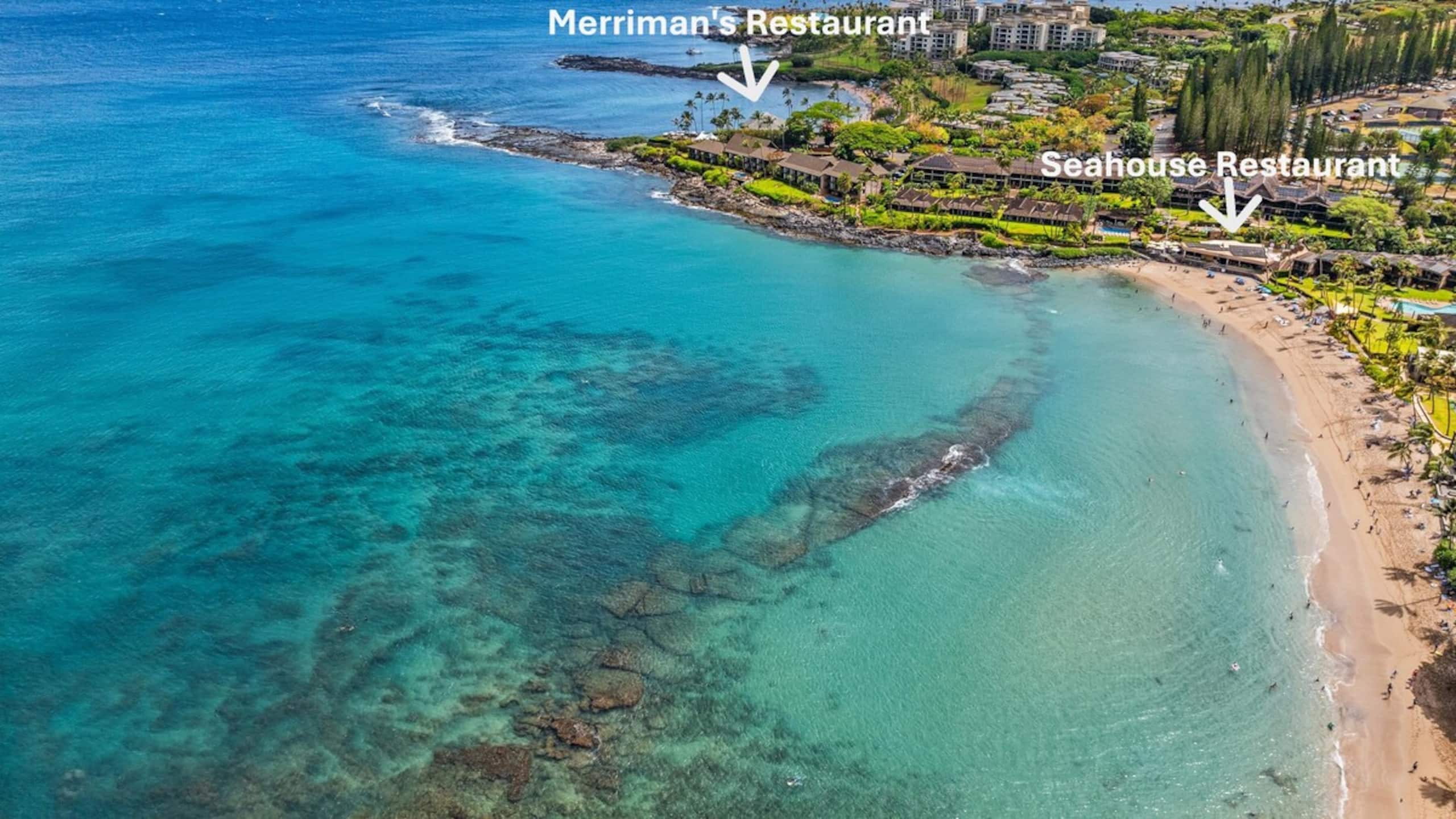 Condo in Lahaina · ★4.74 · 1 bedroom · 2 beds · 1 bath - Image 50