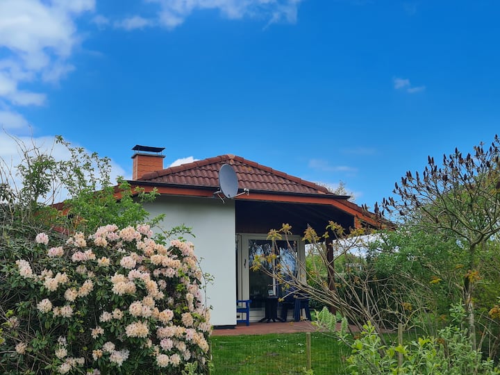 Ferienhaus Austernfischer - Stadland