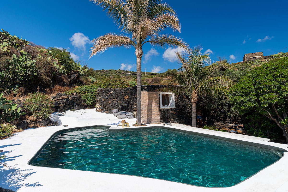 A private swimming pool is framed by lush greenery and a tall palm tree. The pool features clear, inviting water reflecting the sky. The surrounding area is paved with white surfaces, and a rocky wall provides a natural backdrop. Sun loungers are positioned nearby for relaxation.