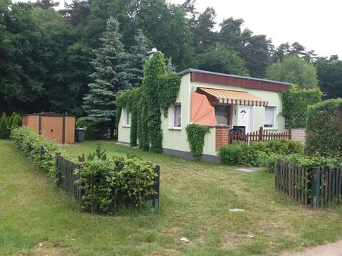 Holiday home on the edge of the forest