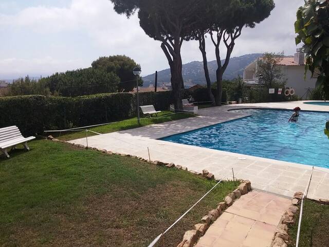 Petunies gallery image 3