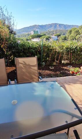 Petunies gallery image 5