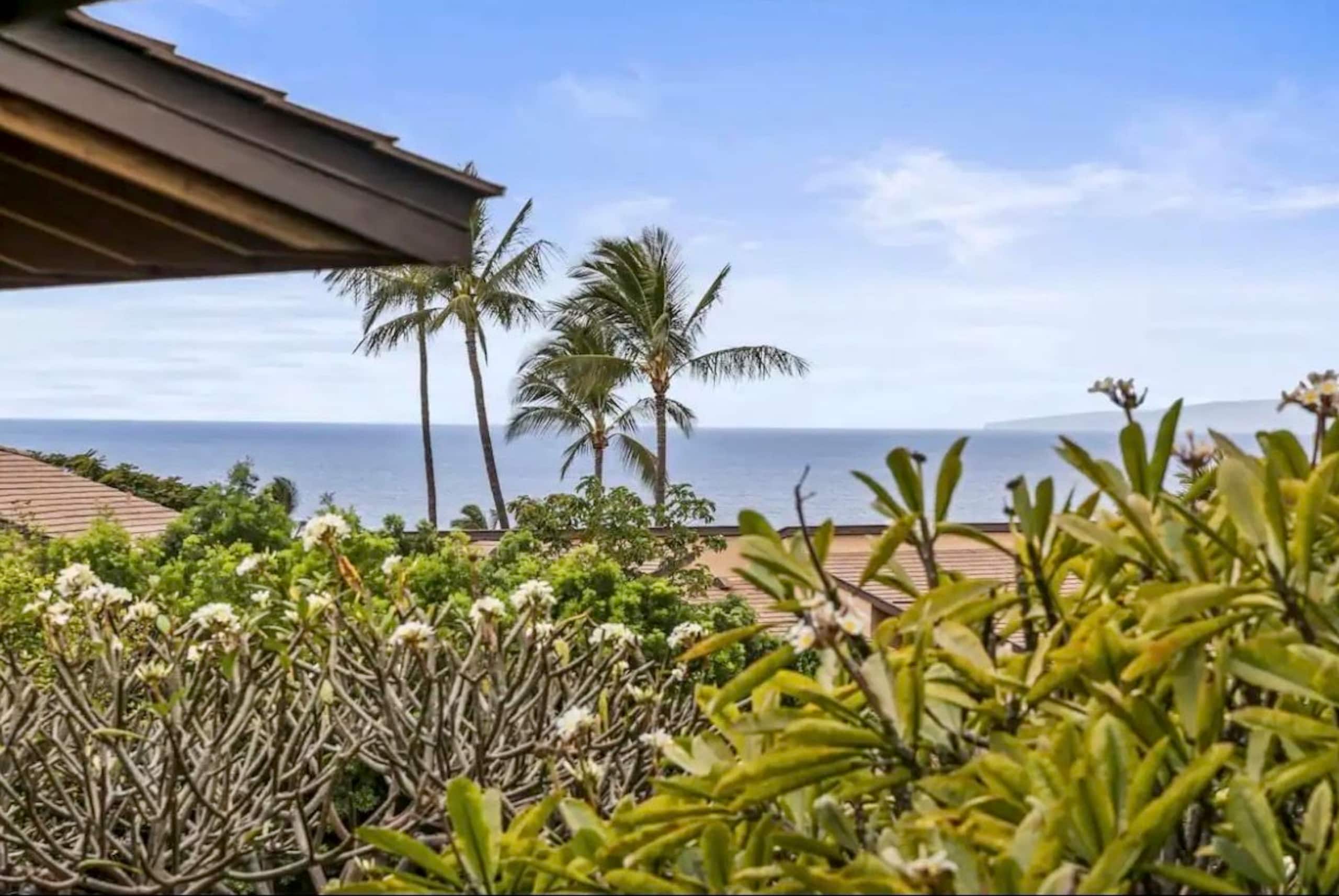 Condo in Kihei · ★4.9 · 1 bedroom · 3 beds · 2 baths - Image 6
