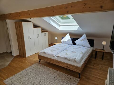 1-room apartment 30 sqm in the attic with south balcony