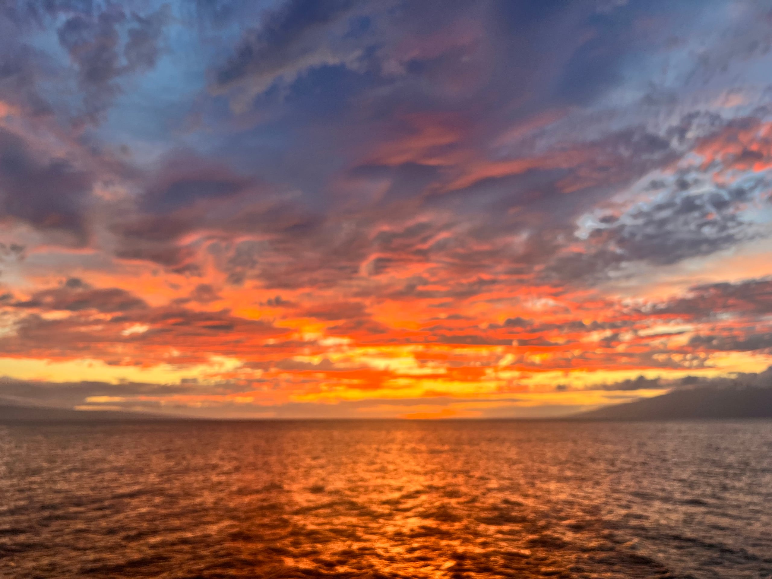 Driftwood Oceanfront - Image 44