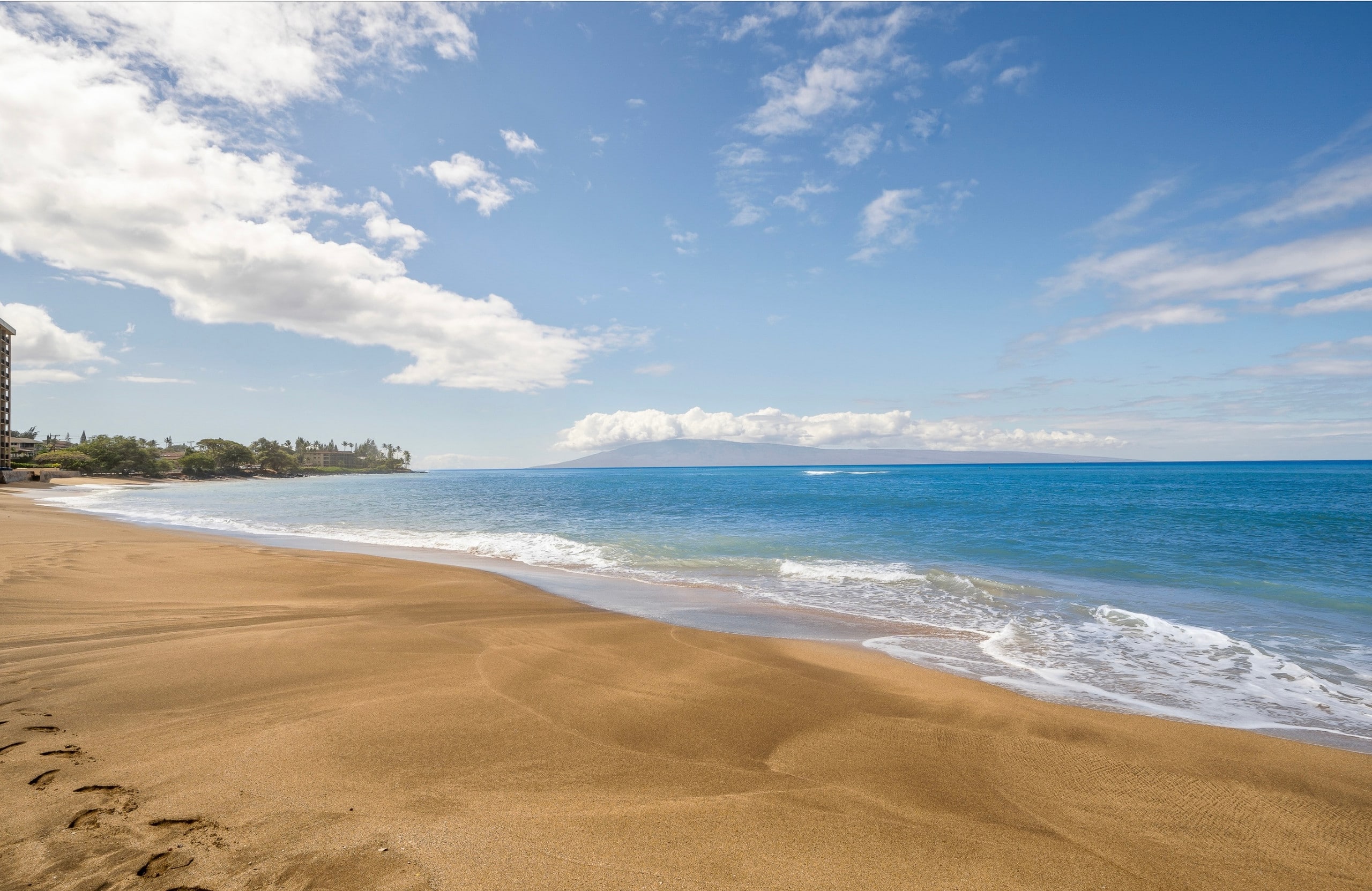 Driftwood Oceanfront - Image 40