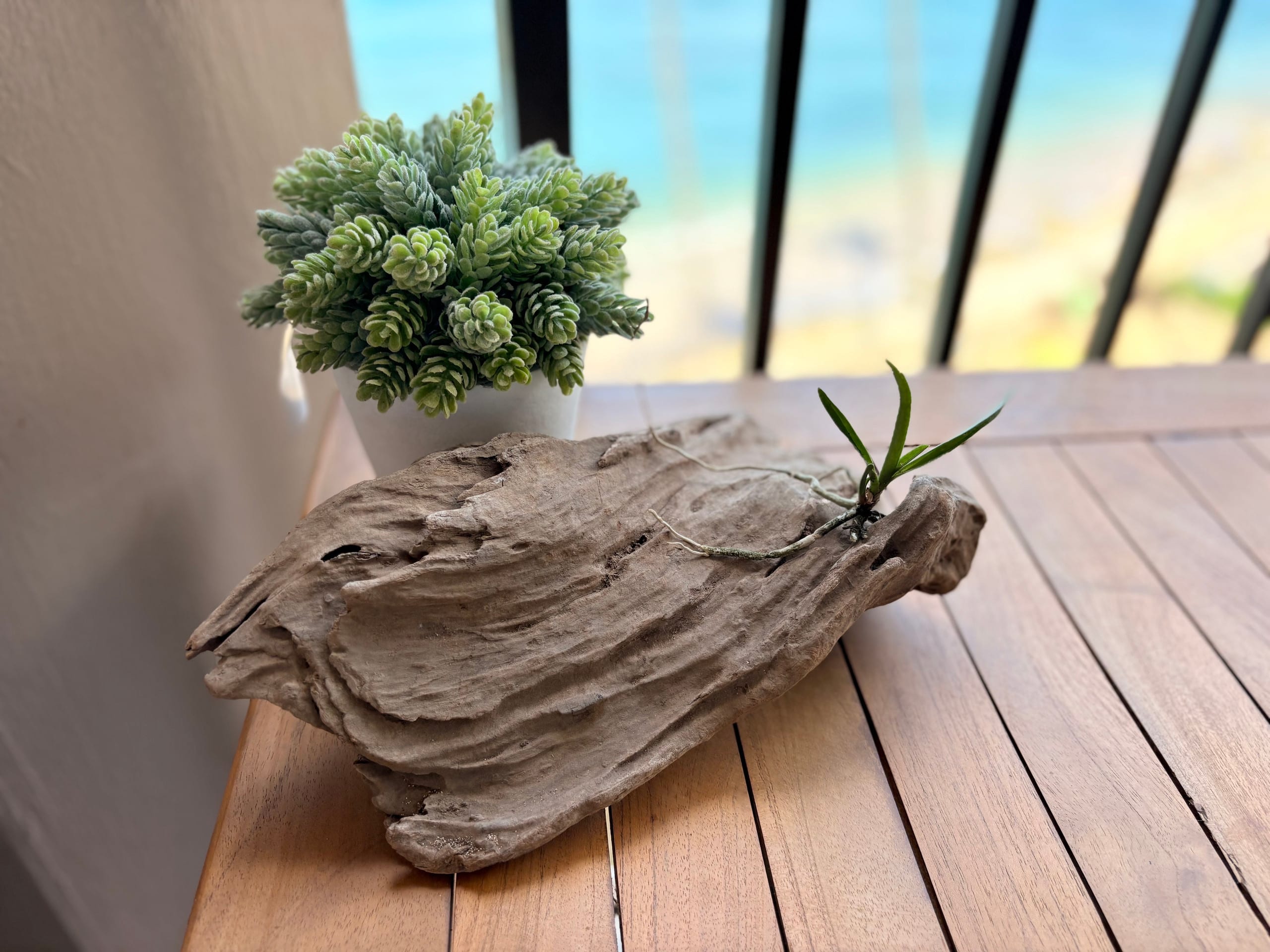 Driftwood Oceanfront - Image 48