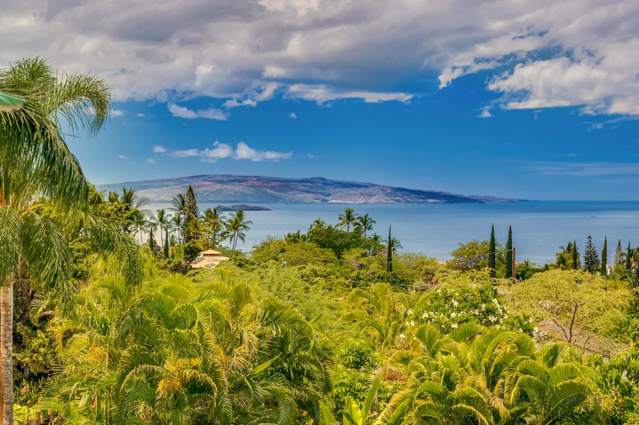 Home in Kihei · ★4.93 · 3 bedrooms · 4 beds · 3 baths - Image 42