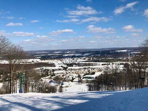Spacious Boyne Mountain Condo- Sleeps 14