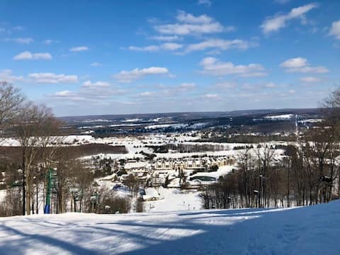 Spacious Boyne Mountain Condo- Sleeps 14