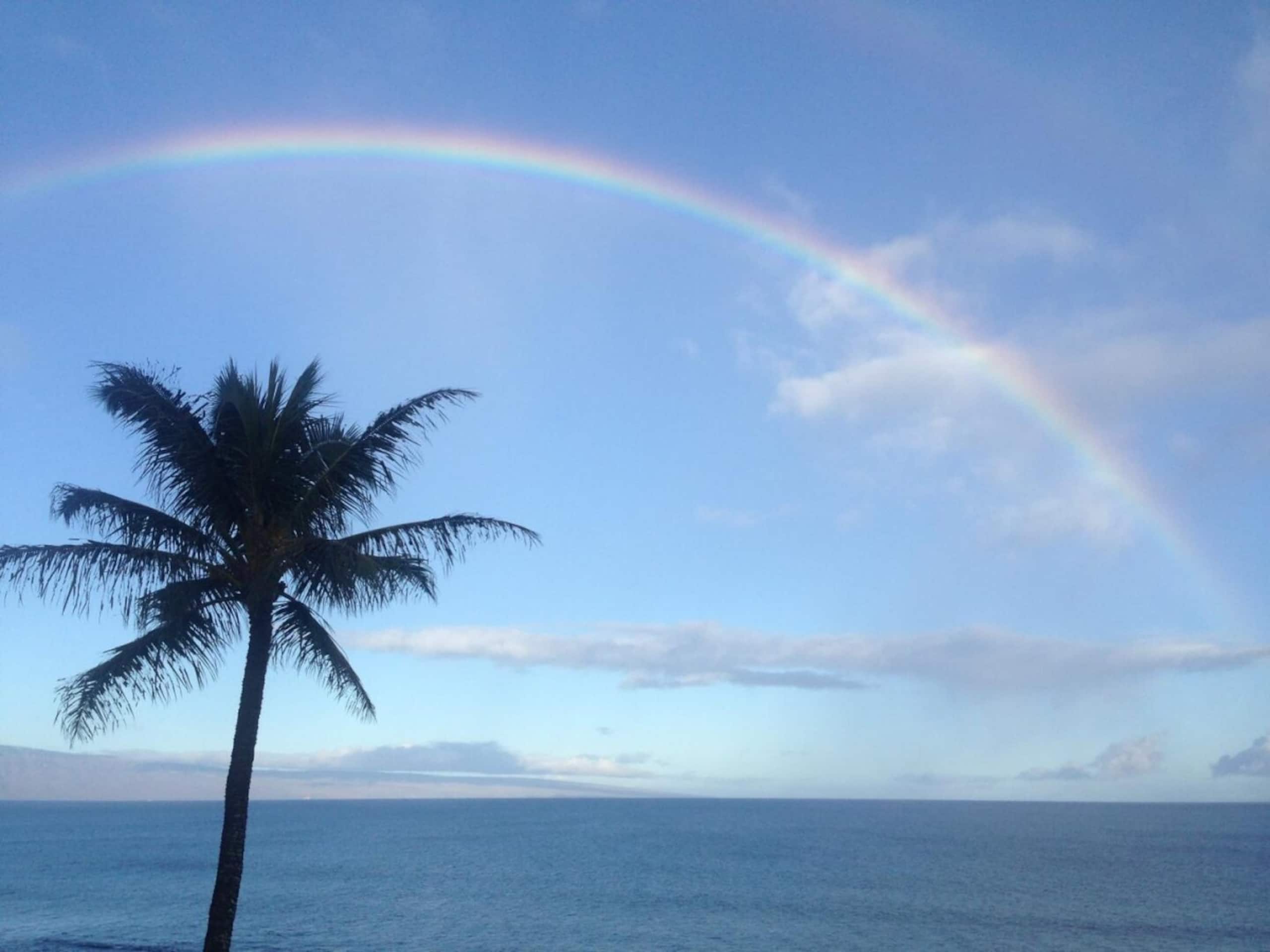 Condo in Lahaina · ★4.83 · 1 bedroom · 2 beds · 1 bath - Image 15