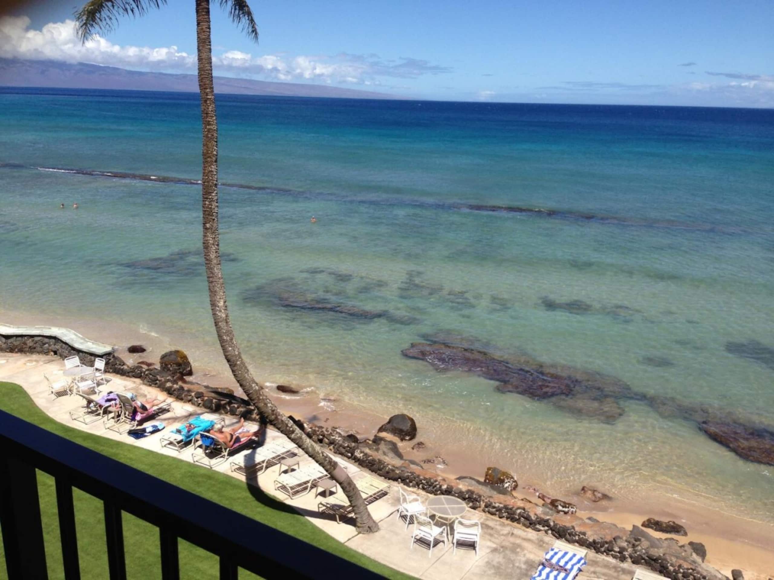 Condo in Lahaina · ★4.83 · 1 bedroom · 2 beds · 1 bath - Image 12