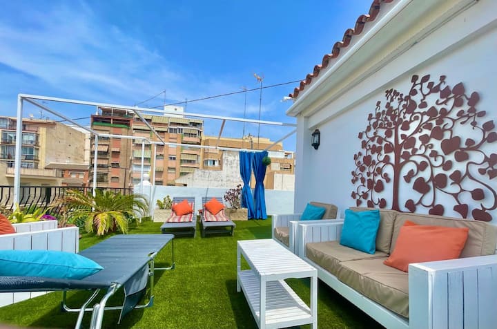 Paloma Casa (N066) - Benidorm