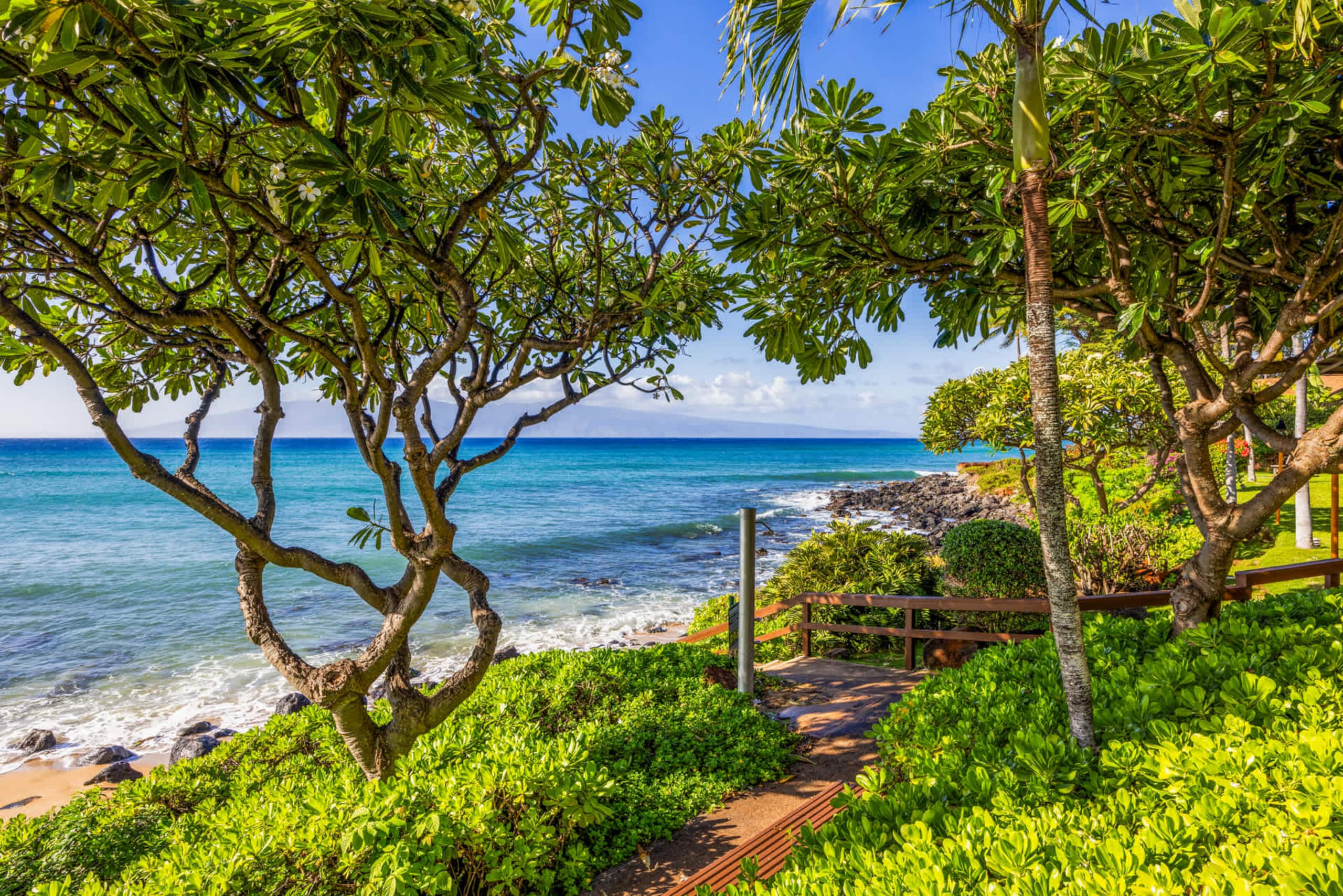 Condo in Lahaina · ★4.67 · 1 bedroom · 2 beds · 1 shared bath - Image 17