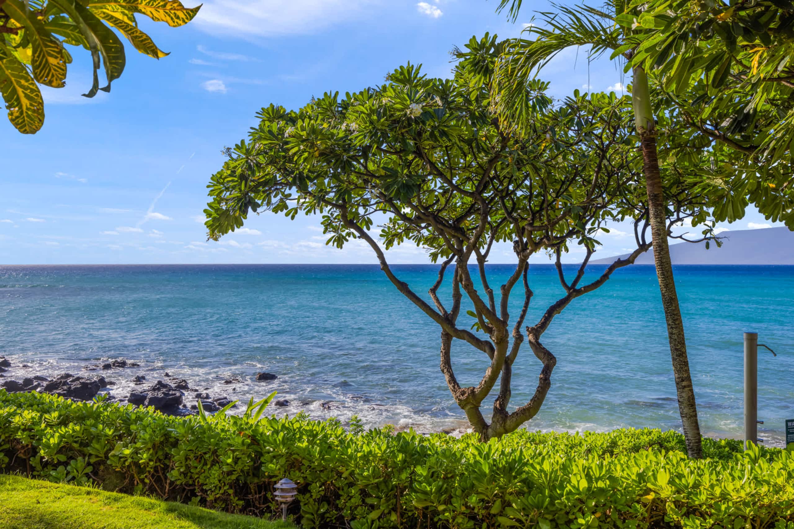 Condo in Lahaina · ★4.67 · 1 bedroom · 2 beds · 1 shared bath - Image 15